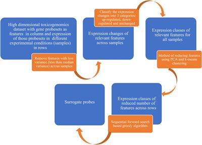 A Qualitative Modeling Approach for Whole Genome Prediction Using High-Throughput Toxicogenomics Data and Pathway-Based Validation